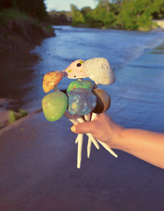 Mushroom Plant Friend