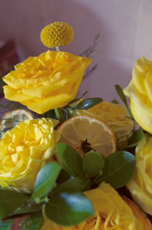 1/2 Dozen Lemons