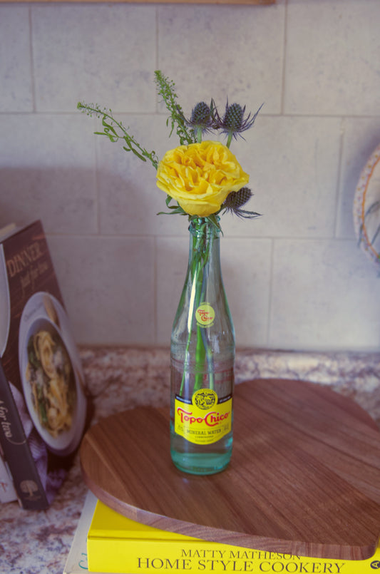 Bottled Bloom