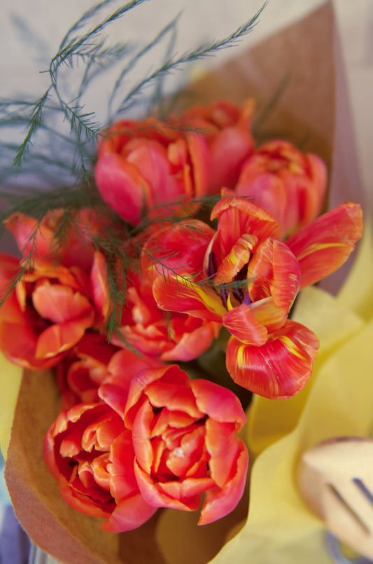 Dutch Dozen