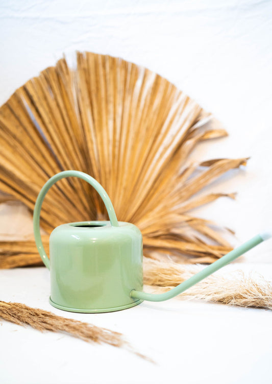 Sage Watering Can