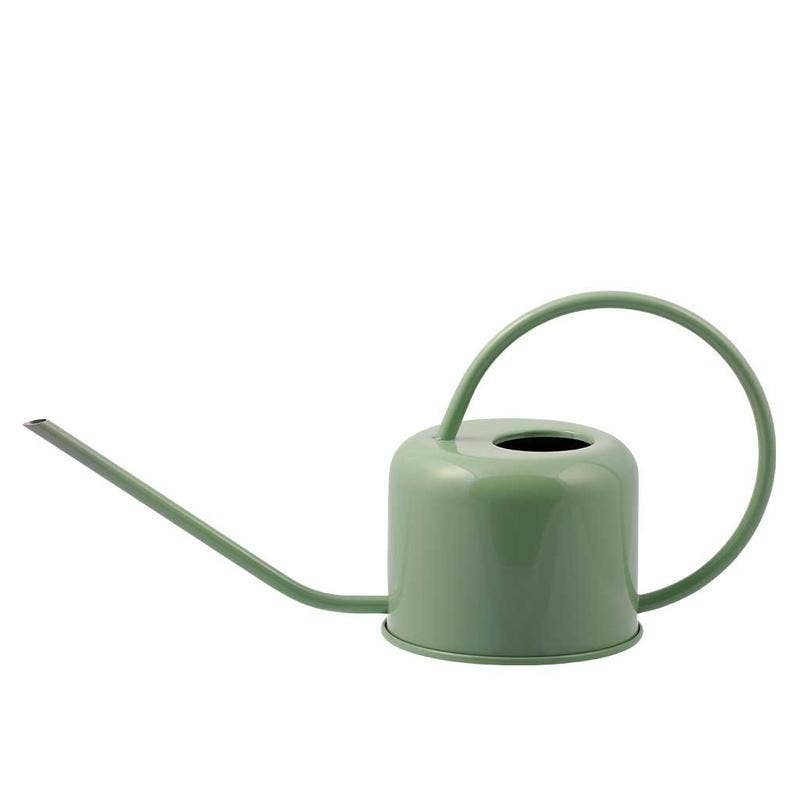 Sage Watering Can